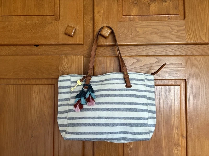 Sac cabas fossil Rachel rayé bleu