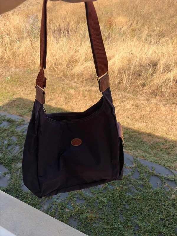 Sac lonchamp violine prune