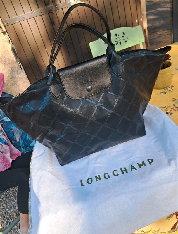 Sac longchamp cuir