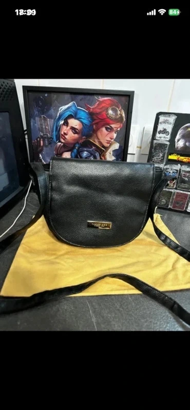 Pochette The Bridge